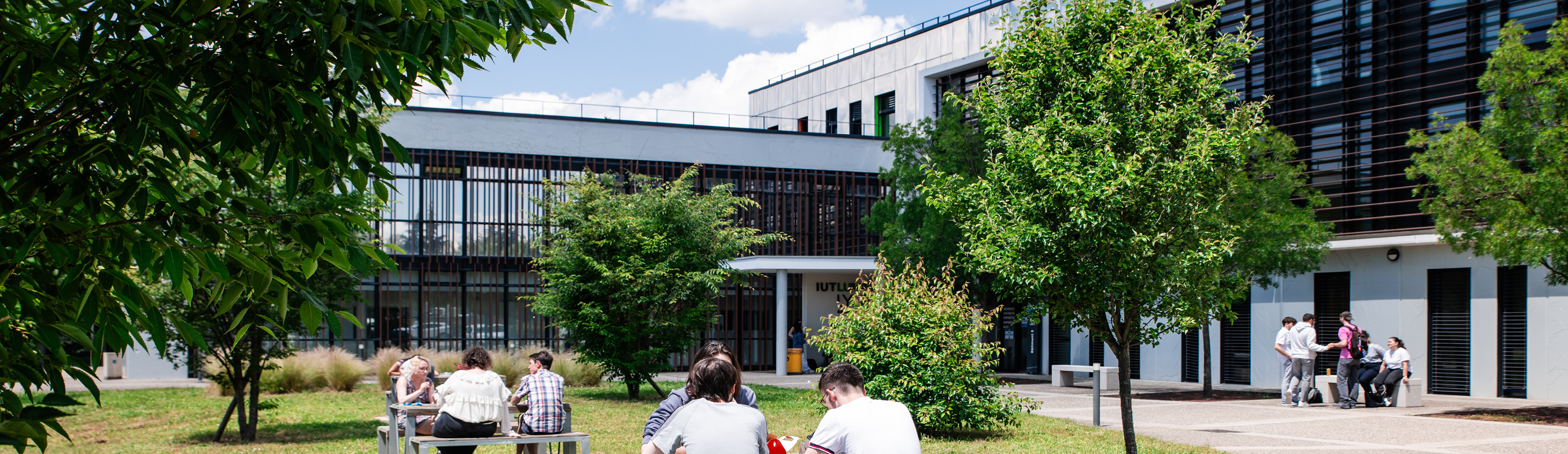 Institut universitaire de technologie