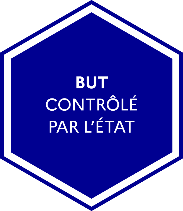 Bachelor universitaire de technologie contrôlé par l'État