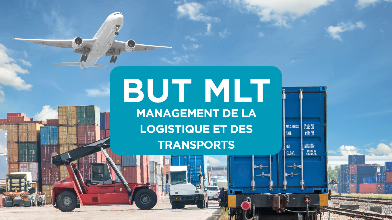 Icône MLT